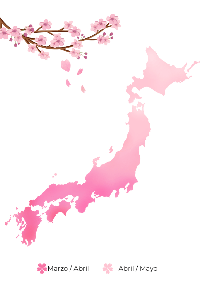 MarzoAbril AbrilMayo