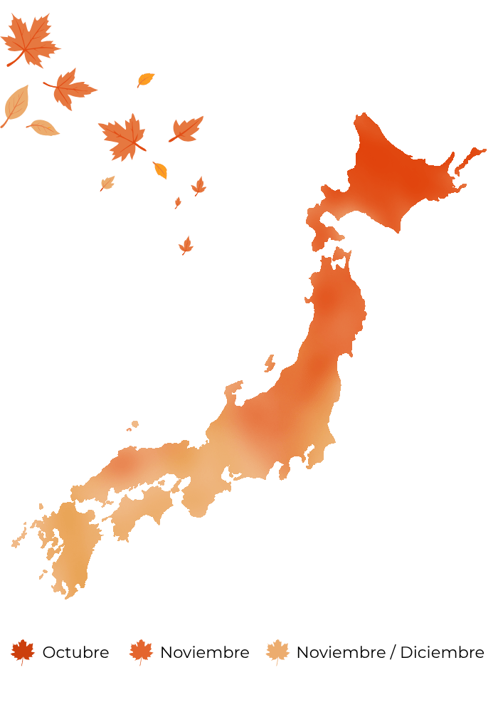 Octubre Noviembre NoviembreDiciembre